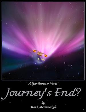 bigCover of the book Star Runner Book 4: Journey's End ? by 
