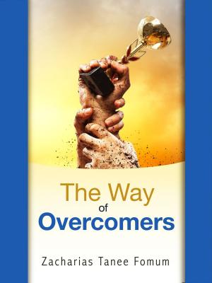 bigCover of the book The Way Of Overcomers by 