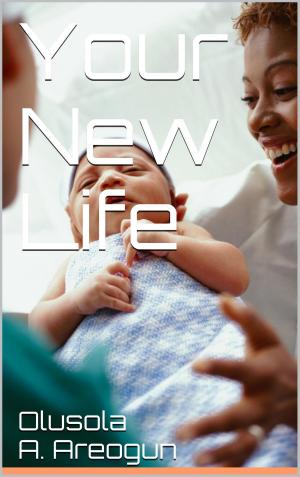 bigCover of the book Your New Life by 