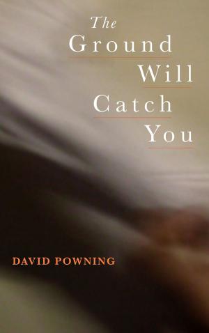 Cover of the book The Ground Will Catch You by Angela Mi Young Hur