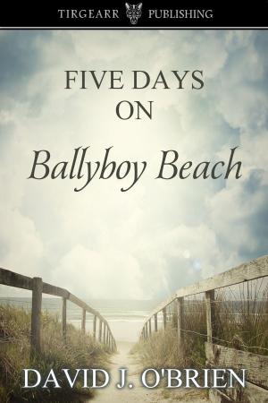 Cover of the book Five Days on Ballyboy Beach by Paula Martin