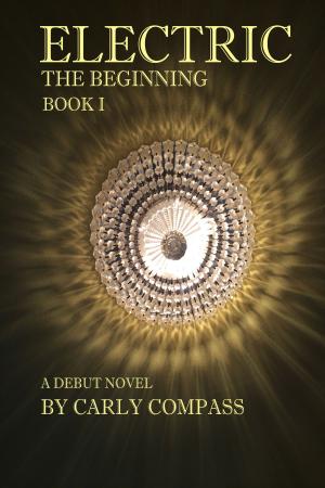Book cover of Electric, The Beginning, Book I