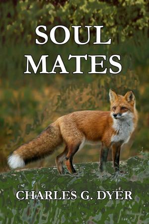 Book cover of Soul Mates
