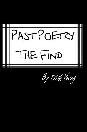 Cover of the book Past Poetry The Find by Sam Lann