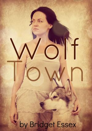 bigCover of the book Wolf Town by 