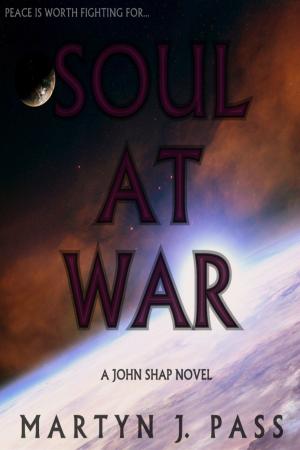 Cover of the book Soul at War by Julie Martel