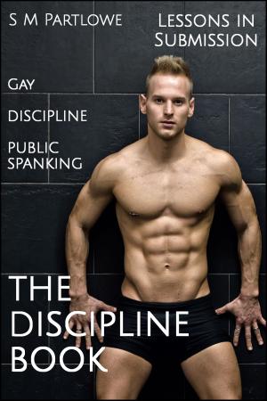 Book cover of Lessons in Submission: The Discipline Book (Gay, Discipline, Public Spanking)