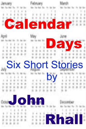 Cover of the book Calendar Days by B.P. Kasik