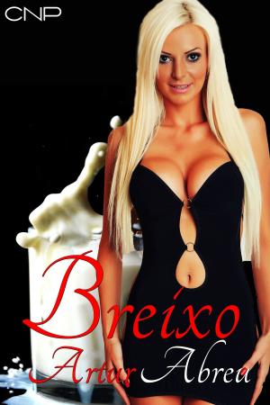 Book cover of Breixo Artur Abreu