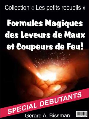 bigCover of the book Formules magiques des leveurs de maux et coupeurs de feu by 