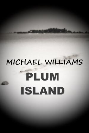Book cover of Plum Island