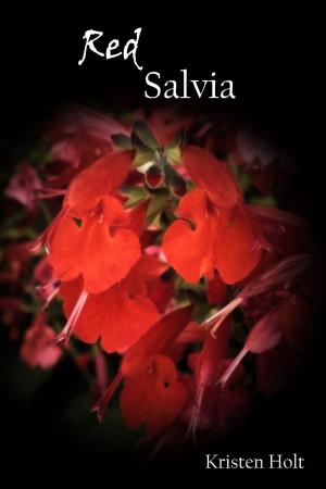 Cover of the book Red Salvia by Monica La Porta