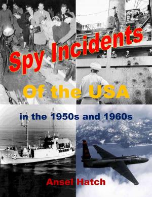 Cover of the book Spy Incidents of the USA in the 1950s and 1960s by T.K. O'Neill