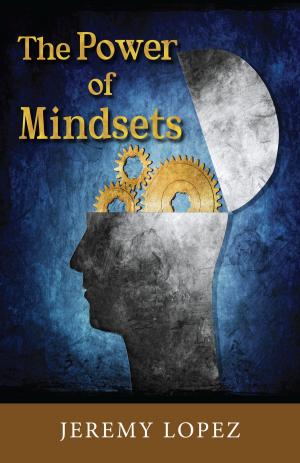 Book cover of The Power of Mindsets