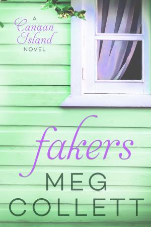 Cover of the book Fakers by S.L. Menear, D.M. Littlefield