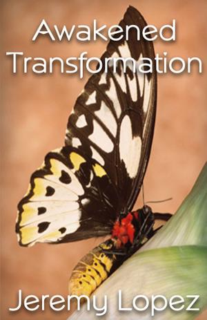 Book cover of Awakened Transformation