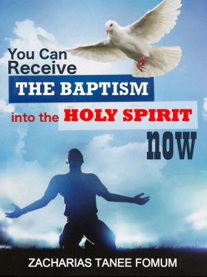 Cover of the book You Can Receive The Baptism Into The Holy Spirit Now by Zacharias Tanee Fomum