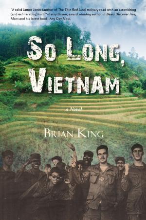 Cover of the book So Long, Vietnam by David Ker