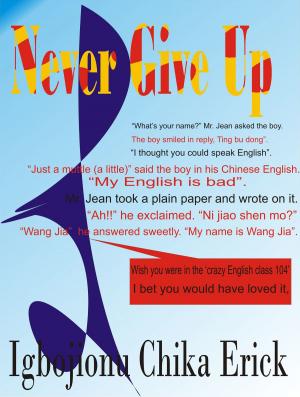 Cover of the book Never Give Up by Claudine Chollet