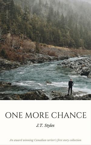Cover of the book One More Chance by Diann Russell