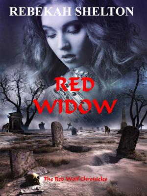 Cover of the book Red Widow by Jeffrey Allen Davis