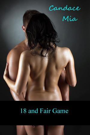 Cover of the book 18 and Fair Game: Story 34 of the 18 Collection by Dimi Sky