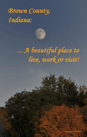 Book cover of Brown County, Indiana: A Beautiful Place to Live, Work or Visit