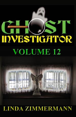 Cover of Ghost Investigator Volume 12