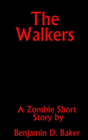 Cover of the book The Walkers by Lindy Zart