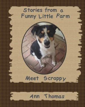 Cover of Stories from a Funny Little Farm: Meet Scrappy