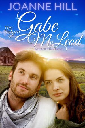 Book cover of The Return of Gabe McLeod