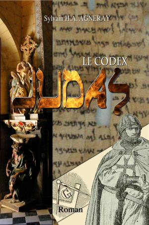 Cover of the book Le Codex Judas by Linda Arditto
