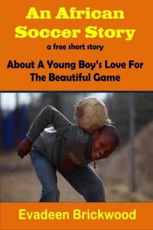 Book cover of An African Soccer Story