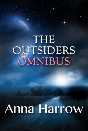 bigCover of the book The Outsiders Omnibus by 