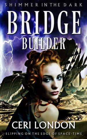 Cover of the book Bridge Builder (Shimmer In The Dark) by K. Llewellin