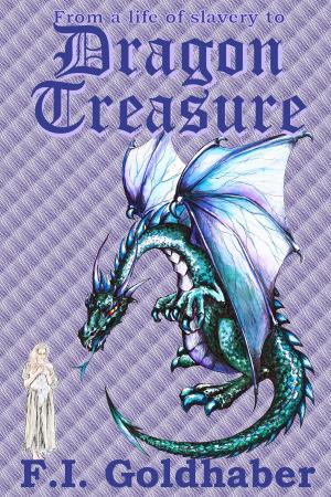 Cover of the book Dragon Treasure by F.I. Goldhaber
