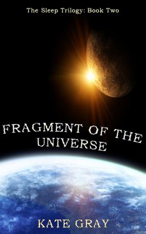 Cover of the book Fragment of the Universe by Tracey Lee Hoy