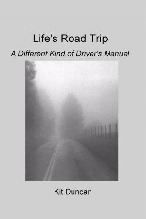 bigCover of the book Life's Road Trip by 