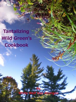 Book cover of Tantalizing Wild Green’s Cookbook