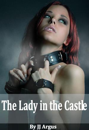 Cover of The Lady in the Castle
