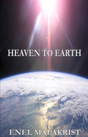 bigCover of the book Heaven to Earth by 