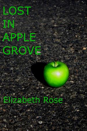 Book cover of Lost in Apple Grove