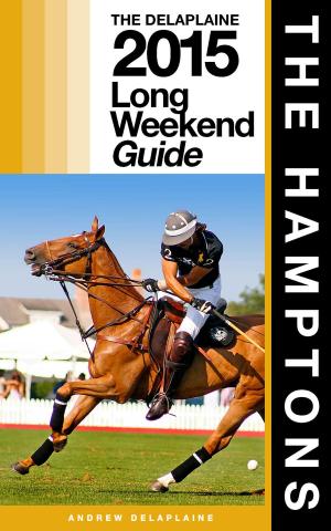Cover of The Hamptons: The Delaplaine 2015 Long Weekend Guide