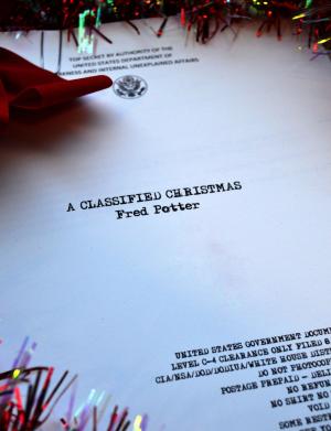Cover of the book A Classified Christmas by Michelle Shy