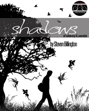 Cover of the book Shadows by Rodolfo Naró