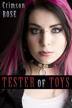 Cover of the book Tester of Toys by CB Conwy