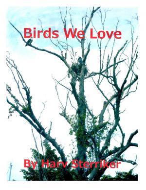 Cover of the book Birds We Love by Gerrard Wllson