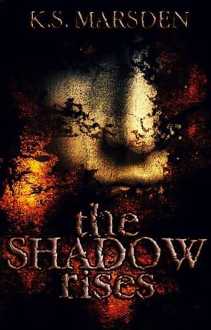 Cover of the book The Shadow Rises (Witch-Hunter #1) by M Todd Gallowglas