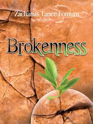 Cover of the book Brokenness: The Secret Of Spiritual Overflow by Lily Crowder