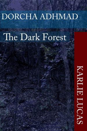 Book cover of Dorcha Adhmad The Dark Forest